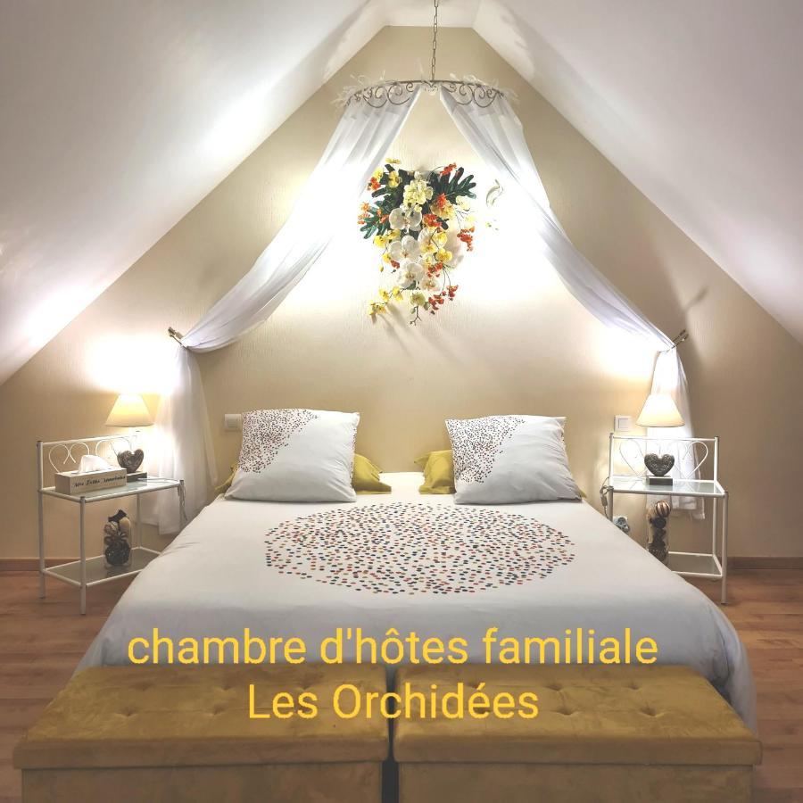 Chambres D'Hotes La Queriere Mur-de-Sologne Cameră foto