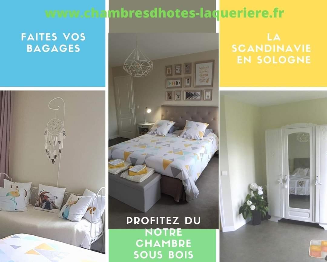 Chambres D'Hotes La Queriere Mur-de-Sologne Exterior foto